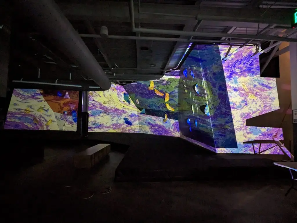 Projection mapping on the climbing walls at Ascend North Point Breeze Pittsburgh, party, projection mapping, projectileobjects